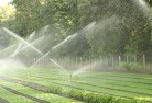 Cobarlandscaping-water-management-and-drainage-17.jpg; ?>